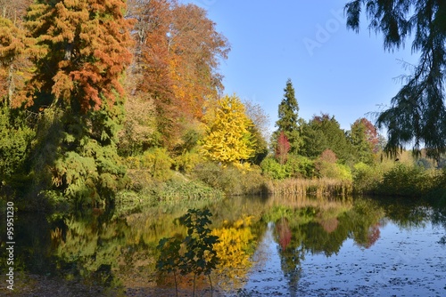 Le petit étang sous une nature automnale majestueuse au parc Solvay de la Hulpe