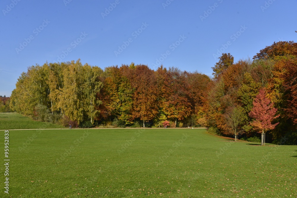 Les couleurs de l'automne à la grande pelouse du parc Solvay de la Hulpe