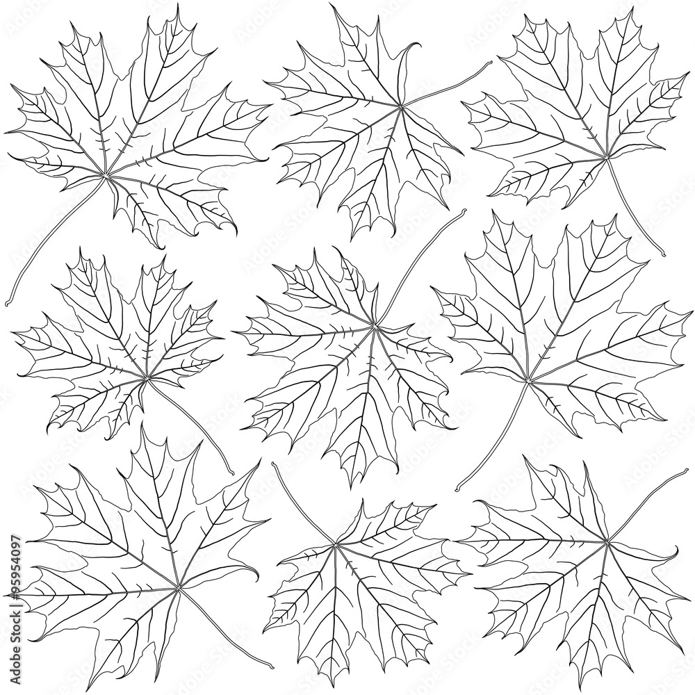 contoured maple leaves contoured maple leaves