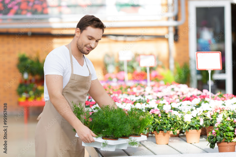 Pleasant flowershop owner holding tray with plants 