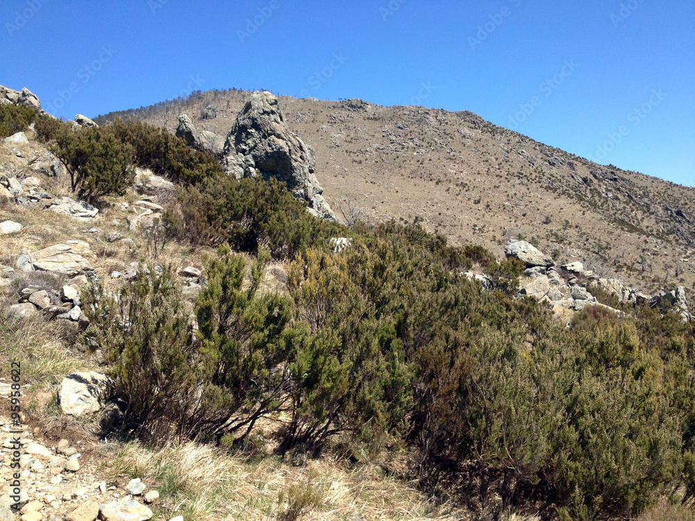 Passo della Gava, Pian del Curlo Passo della Gava, Pian del Curlo