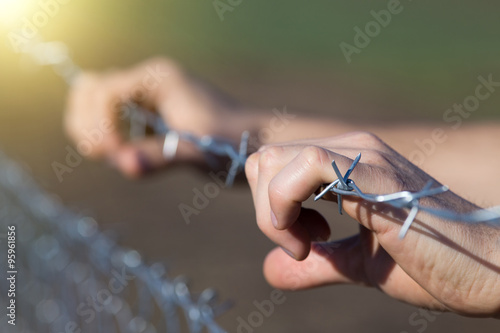Photos Male hands on barbed wire