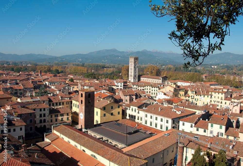 Lucca- vista dalla Torre Guinigi