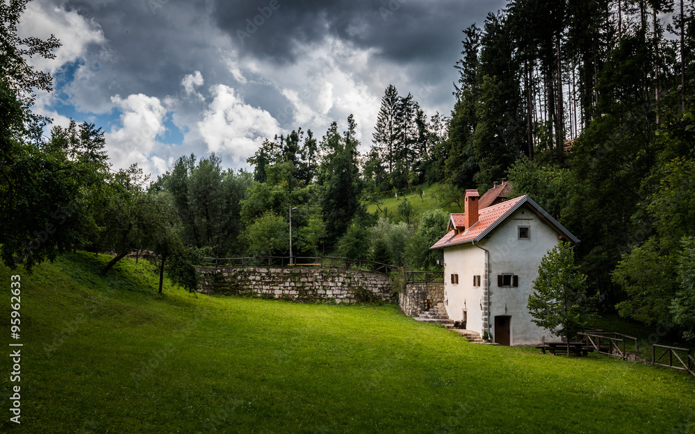 Fototapeta premium Lonely House with Green Yard under Dramatic Sky