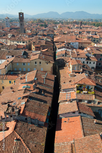Lucca- vista dalla Torre Guinigi