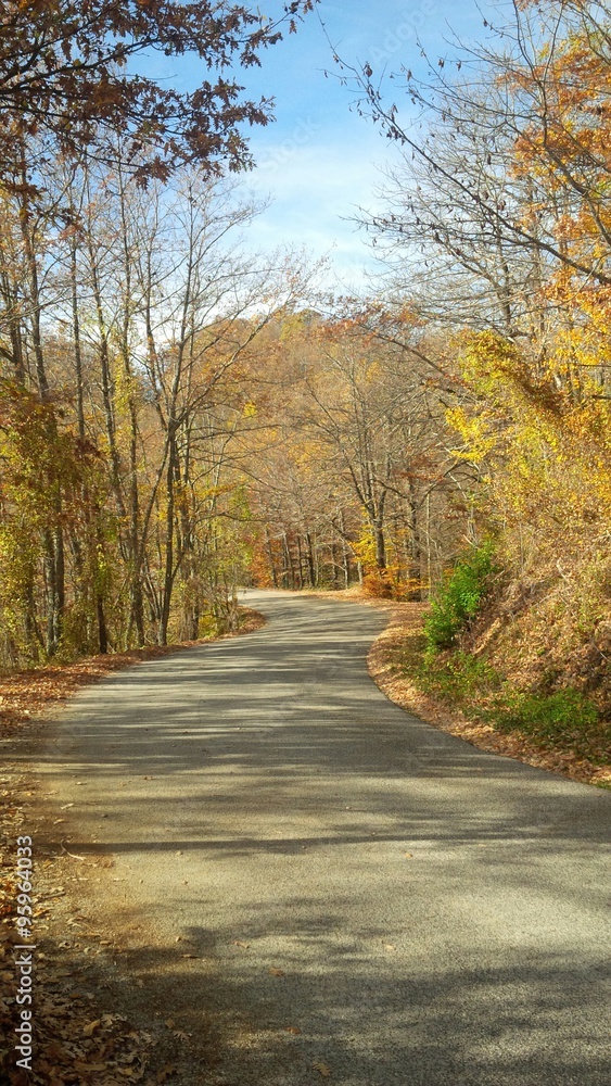 Fototapeta premium Quadro d'autunno