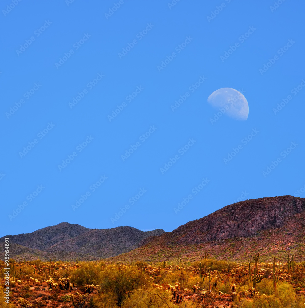 Sonora Desert moon