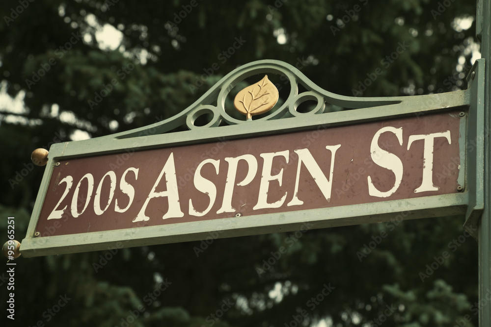 Obraz premium Aspen Street