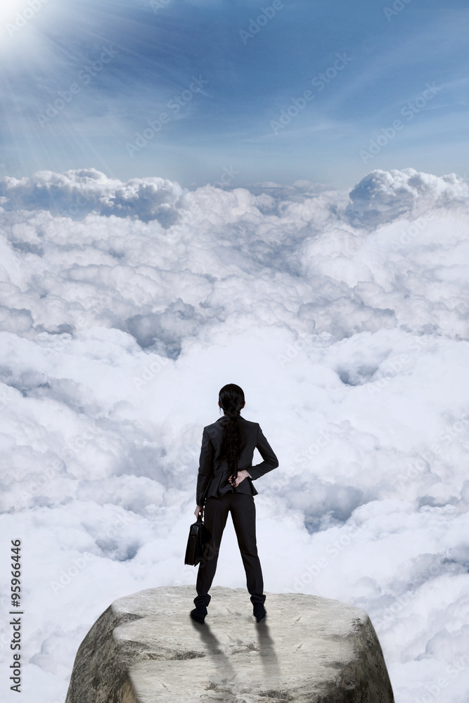 Obraz premium Businesswoman standing at mountain