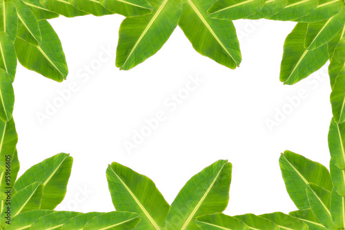 Background banana leaf frame