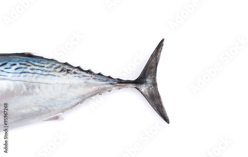 Tale of raw fish, bonito, isolated on white