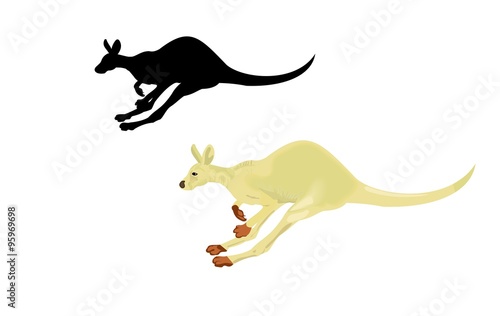 Fototapeta Naklejka Na Ścianę i Meble -  Running kangaroo isolated on a white background