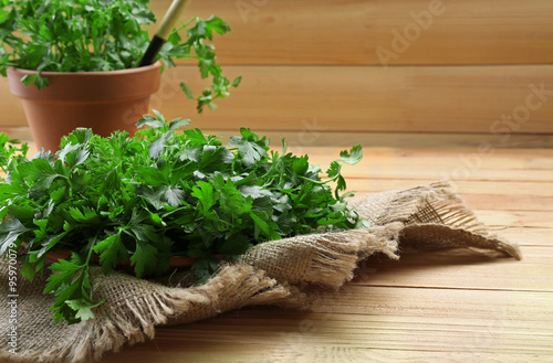 Fresh parsley in pot on wooden table