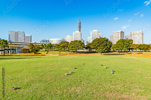 Landscape grass prospects the Yokohama city buildings of landmark.