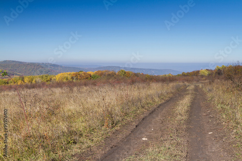  Rural road leaving afar to horizon.