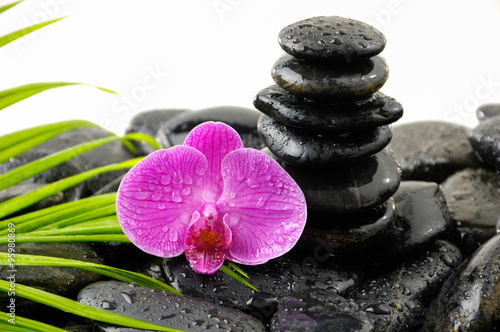 Spa Background with palm and wet stones with pink orchid  