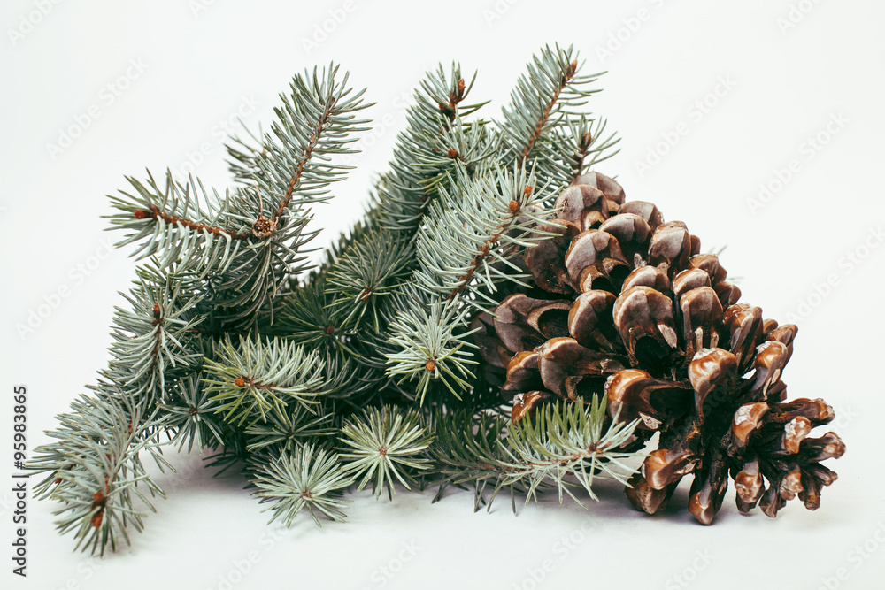 big pine tree cone like decoration to holiday card for Christmas with copyspace