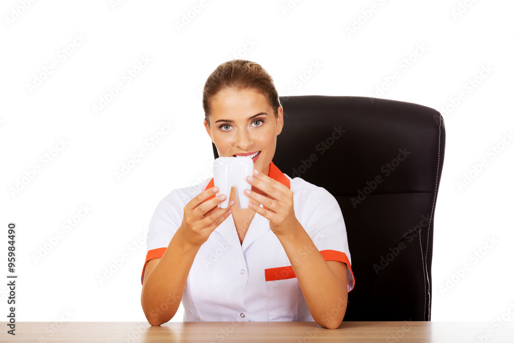Female dentist holding tooth model and sitting behind the desk Female dentist holding tooth model and sitting behind the desk