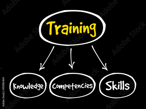 Training components mind map, business concept