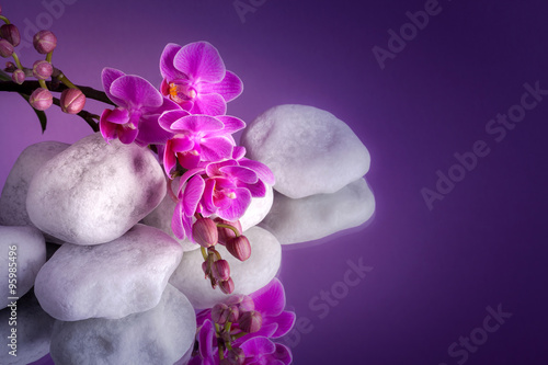 Fototapeta Naklejka Na Ścianę i Meble -  Orchidea con pietre bianche su specchio
