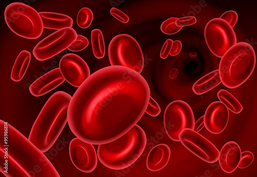 Red Blood Cells iin Vein or Artery