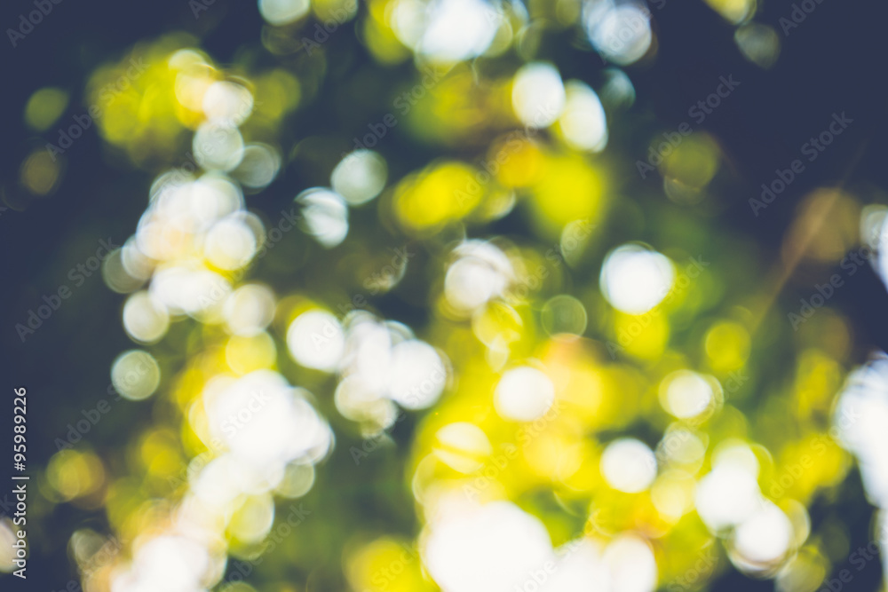 abstract natural blur background, defocused leaves, bokeh abstract natural blur background, defocused leaves, bokeh