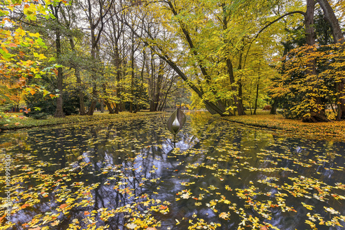 Collection of Beautiful Colorful Autumn Leaves / green, yellow, orange photo