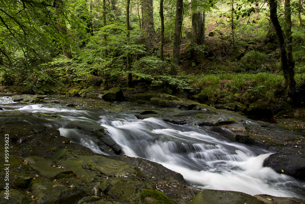 Waldbach Waldbach