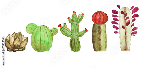 Fototapeta Naklejka Na Ścianę i Meble -  Watercolor cactus set