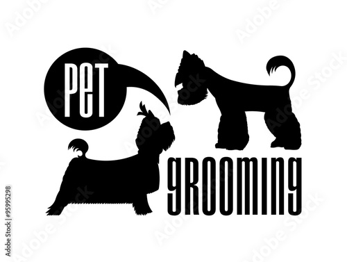 Bubble grooming 4