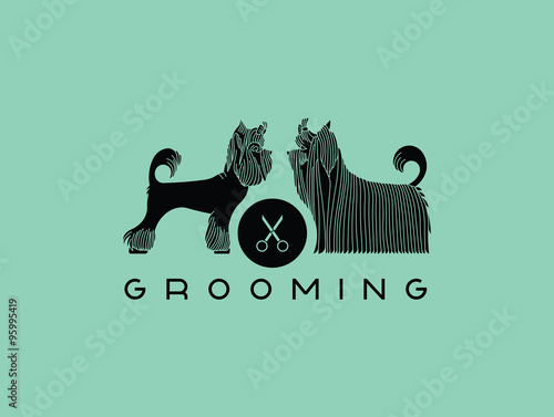 Pet grooming 6
