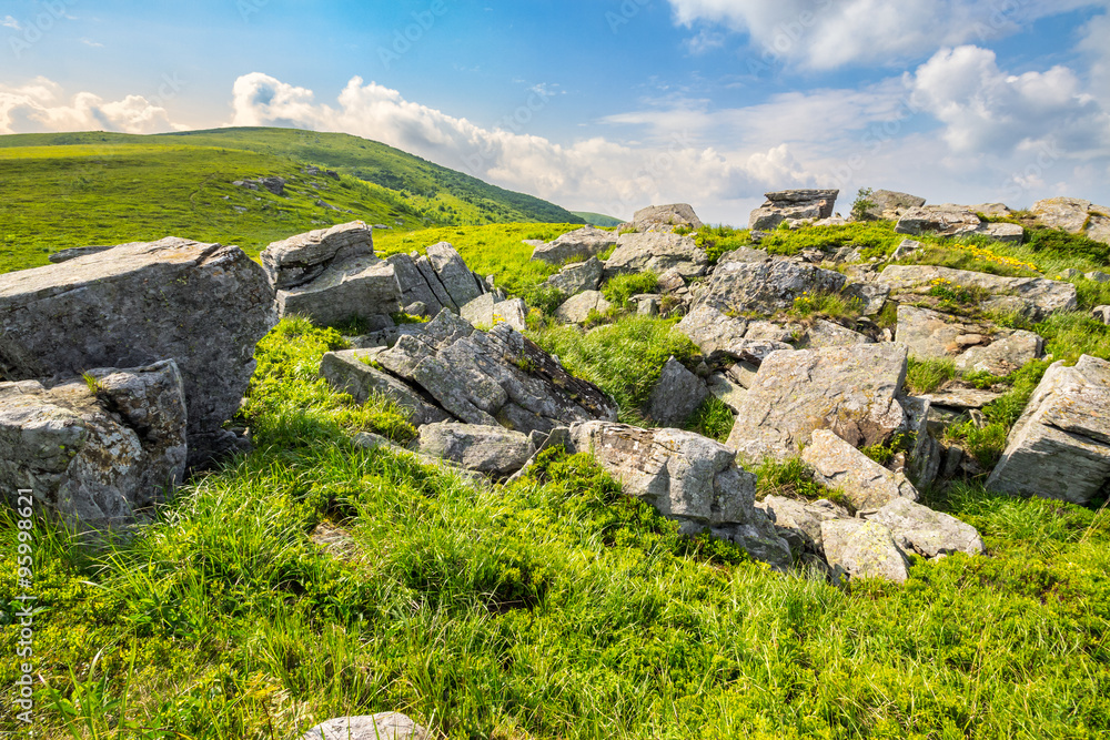 boulders on the mountain meadow