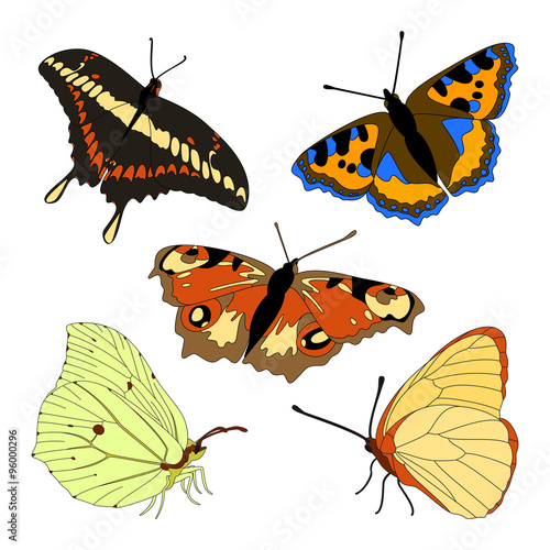 Vector set of butterflies.
