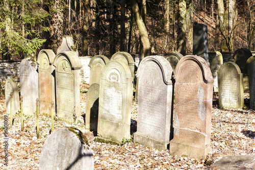 Jewish cemetery, Luze, Czech Republic