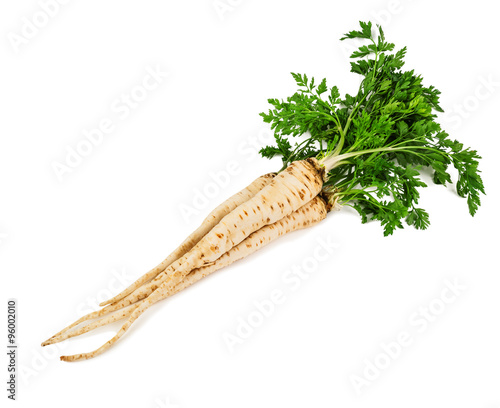 bunch of parsley root