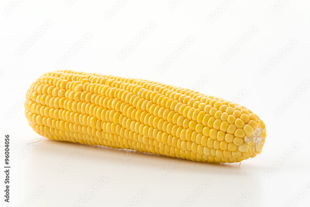 fresh corn fresh corn