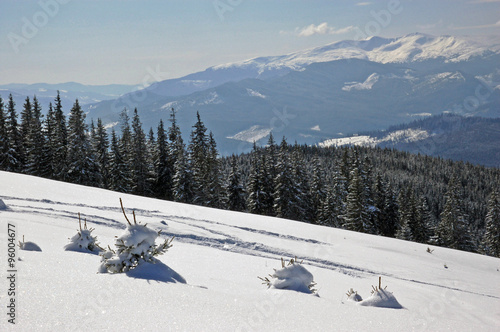Winter landscape
