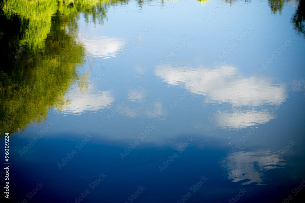 Trees Reflection in the River