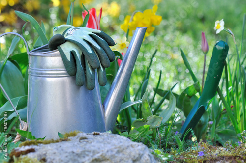 arrosoir, plantoir et gants de jardinage au sol parmi les fleurs du jardin  photo