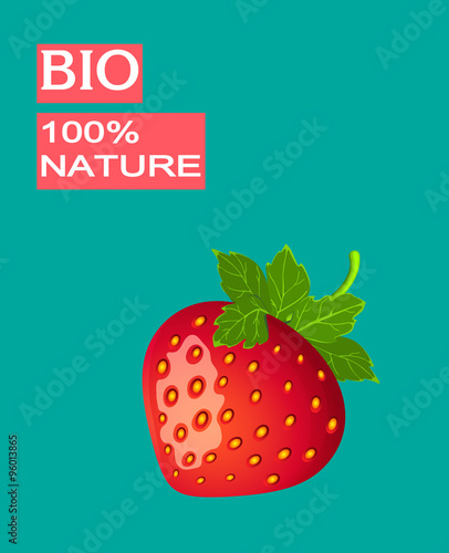 Vector berry illustration. Detailed drawing of strawberry 