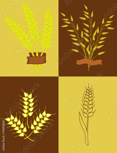 ears of wheat and oats
