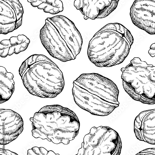 Vector hand drawn seamless Walnut pattern. Engraved collection
