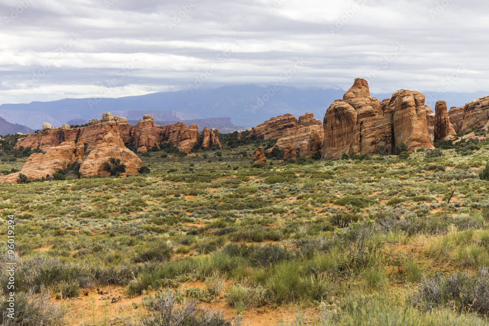Red stones in the landscape, Arches N.P., Utah