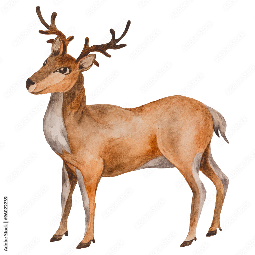 Fototapeta premium Watercolor Reindeer