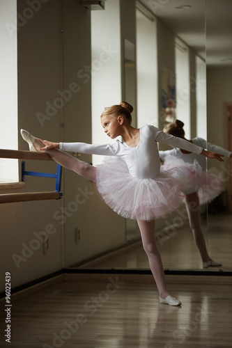 Teen beautiful ballerina posing in the image