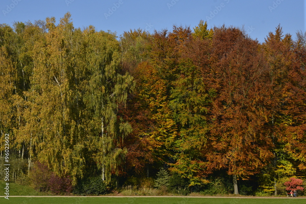 Les couleurs de l'automne de la nature au parc Solvay de la Hulpe