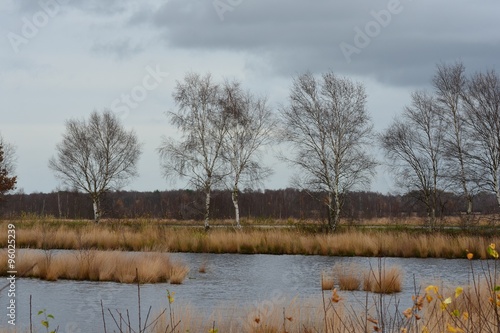 Moorlandschaft