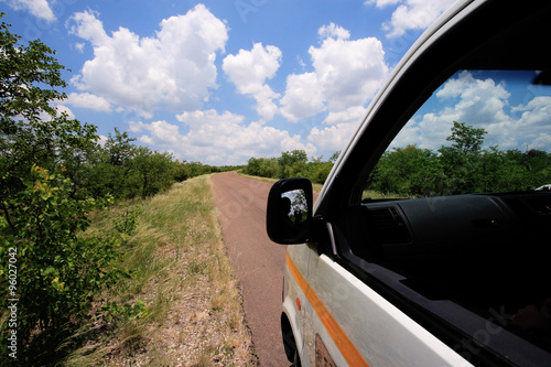 parco del kruger sudafrica photo