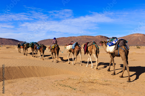 camel caravan going through the desert