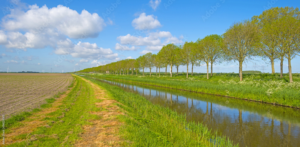 Naklejka premium Canal meandering through the countryside in spring